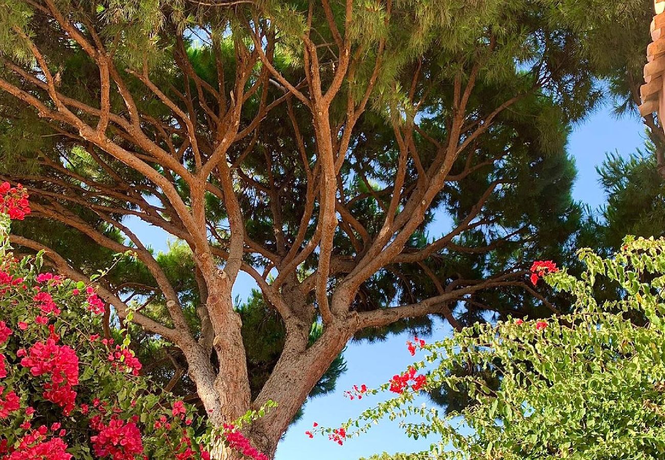 Villa in Marbella - Villa Monterray, Royal Beach, Calahonda - Beach Front Villa